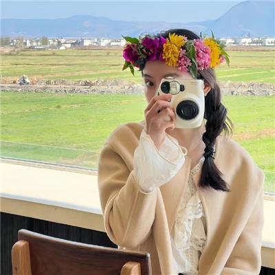 夏日菊花茶